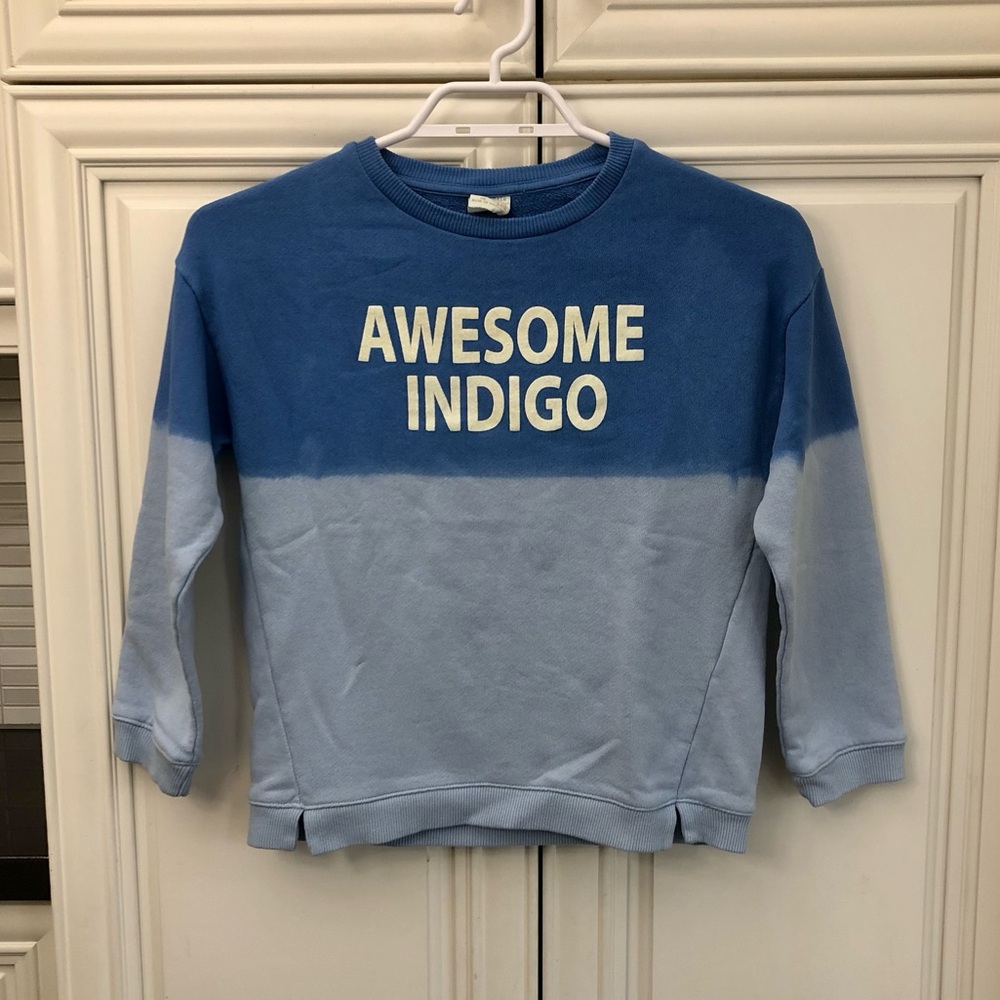 NWT Zara girls Awesome Indigo sweatshirt